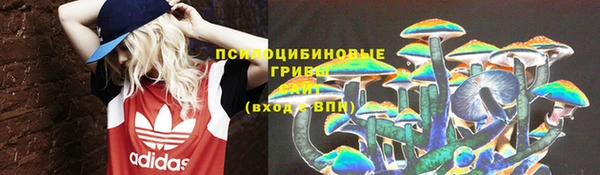 кристаллы Лагань