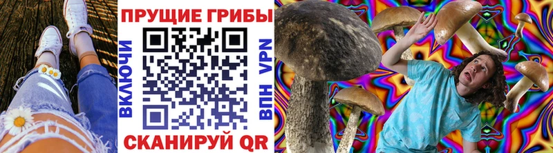 Купить закладки  Нытва  Галлюциногенные грибы Magic Shrooms